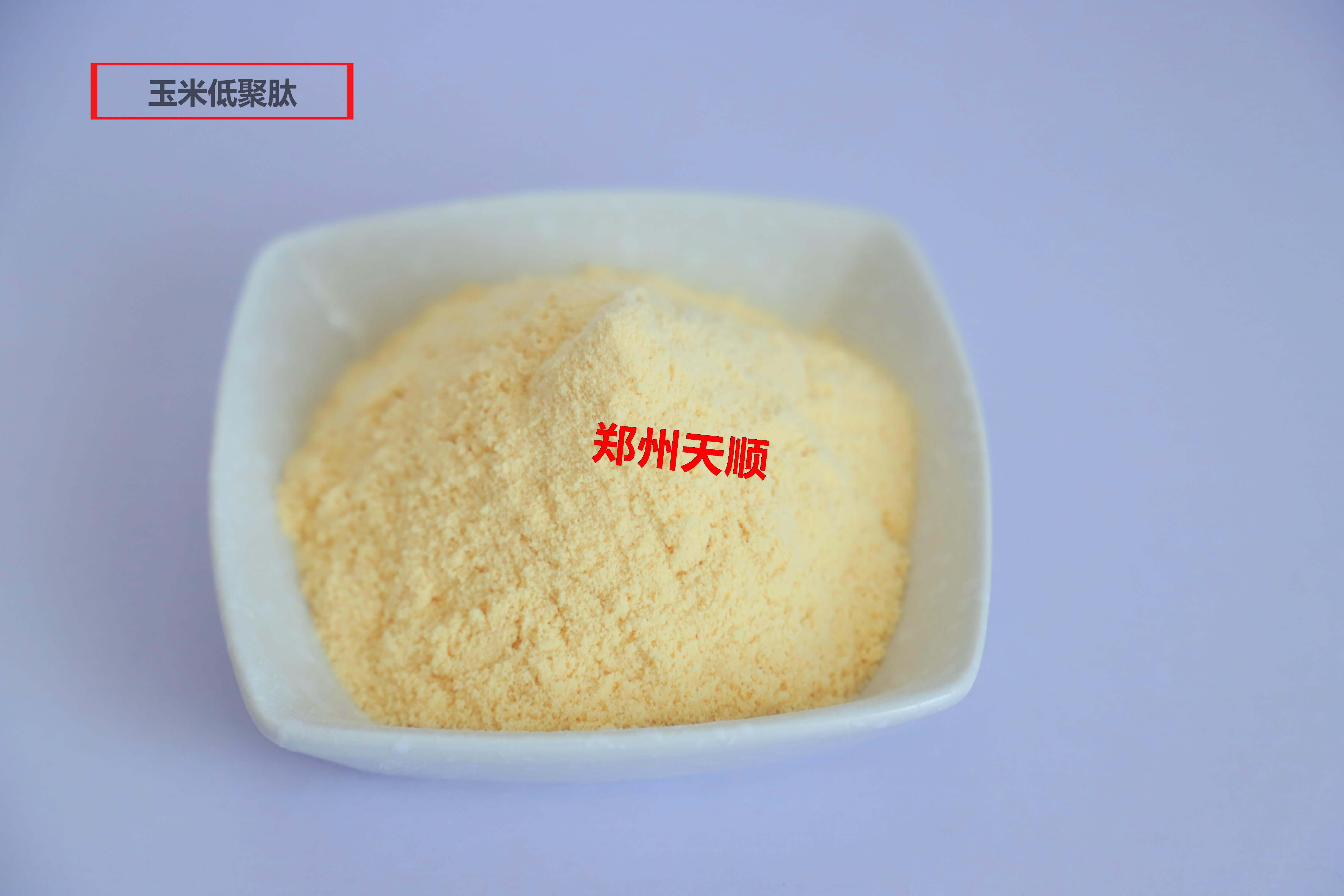 郑州玉米低聚肽生产厂家 天顺添加剂 大量供应优质食品级玉米低聚肽