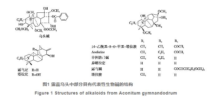 露蕊乌头化学成分和药理活性的研究进展