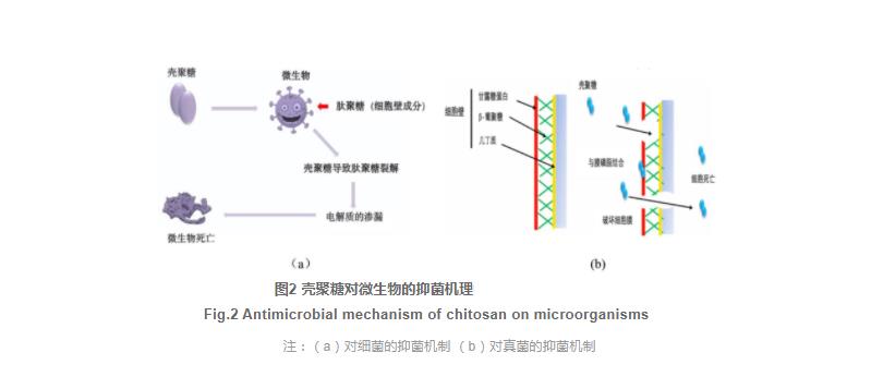 壳聚糖与生物保鲜剂复合使用在水产品保鲜中的研究进展（一）