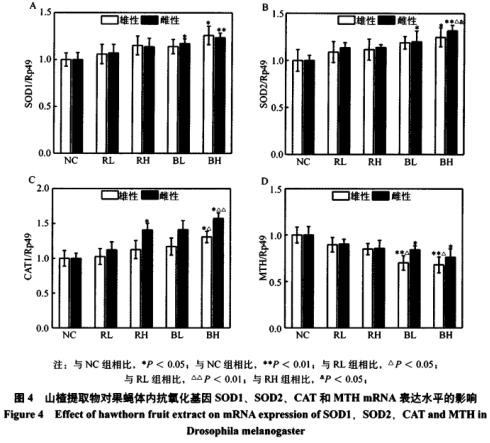 褐变黑枸杞抗氧化作用的研究（三）