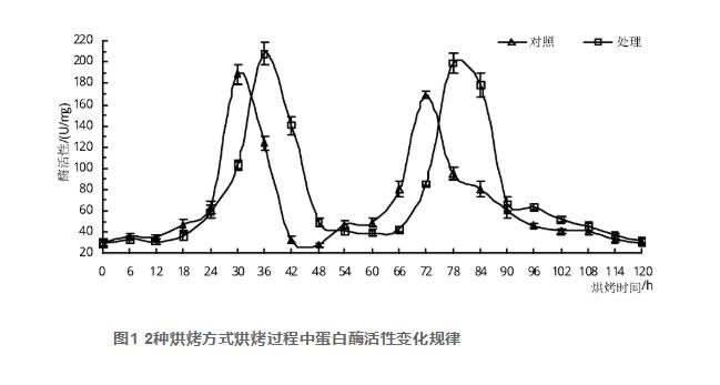 “两炖一停”烘烤工艺烤烟蛋白酶活性及蛋白质含量的动态变化（一）