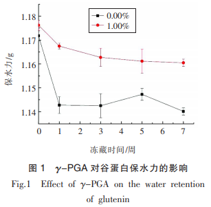 γ-聚谷氨酸对冻藏谷蛋白水合及结构的影响（一）