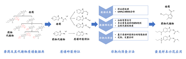 大连化物所提出食品中兽药及其代谢物非靶向筛查新方法