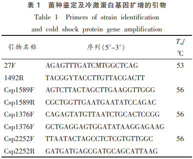 水产品腐败希瓦氏菌冷激蛋白的结构与功能分析（一）