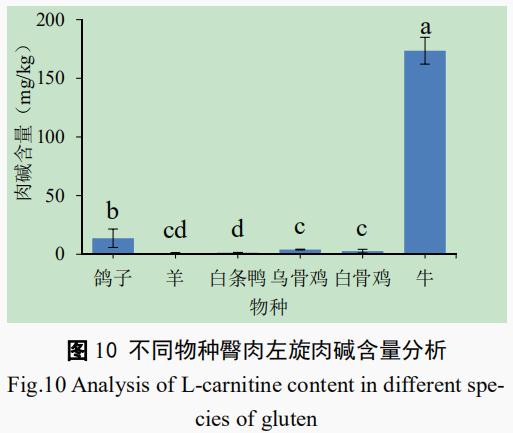 酶法测定林芝市售不同动物肌肉左旋肉碱含量（二）