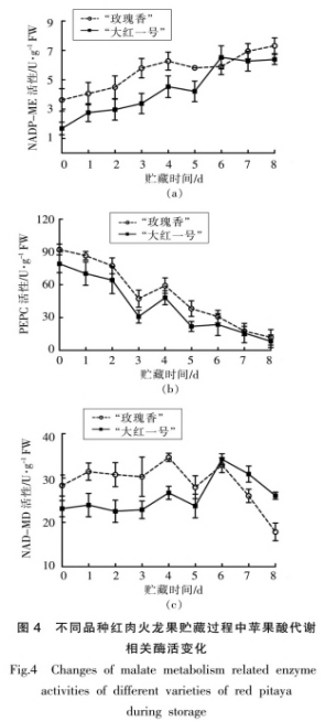 红肉火龙果采后品质劣变及苹果酸代谢研究（二）