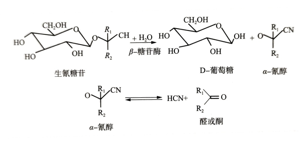 酒中氰化物的测定标准操作程序之静态顶空——气相色谱法（一）