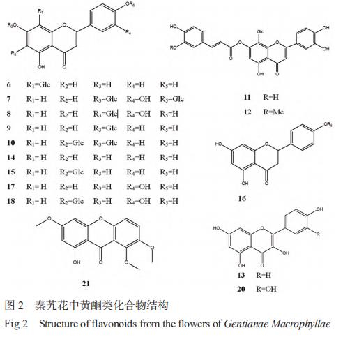 秦艽花化学成分、药理作用及其临床应用的研究进展 （一）