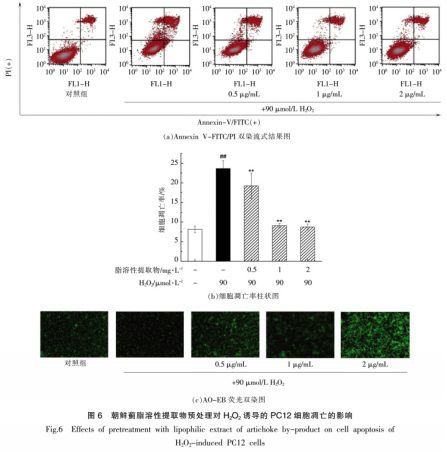 朝鲜蓟茎叶中脂溶性提取物对神经细胞的保护作用（三）