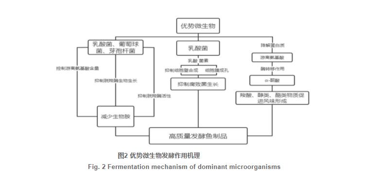发酵鱼中菌群组成及发酵特性研究进展（三）