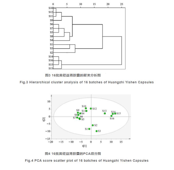 基于HPLC指纹图谱结合化学模式识别的黄蛭益肾胶囊质量控制（四）