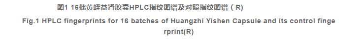 基于HPLC指纹图谱结合化学模式识别的黄蛭益肾胶囊质量控制（二）