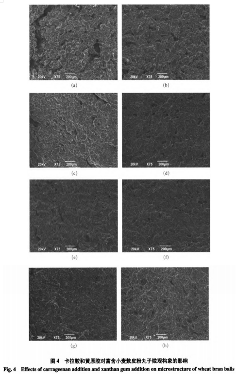 卡拉胶与黄原胶复配对小麦麸皮粉丸子品质的影响（二）