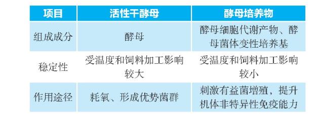 运用酵母发酵技术提升蛋鸡的健康水平