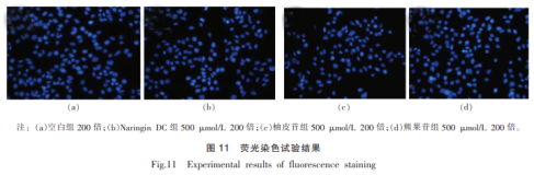 柚皮苷二氢查尔酮的抗氧化活性研究（三）