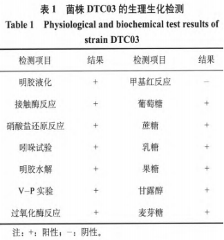 研究产α-L-鼠李糖苷酶细菌Bacillusvelezensis的筛选及酶学性质（二）