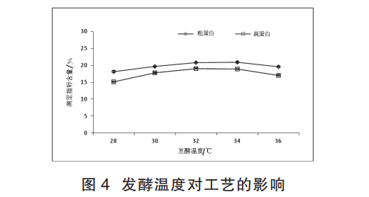 马铃薯薯渣固态发酵生产 菌体蛋白饲料的工艺研究（二）