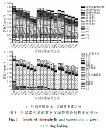 绿茶加工中主要脂溶性色素变化及其对茶叶色泽品质的影响（二）