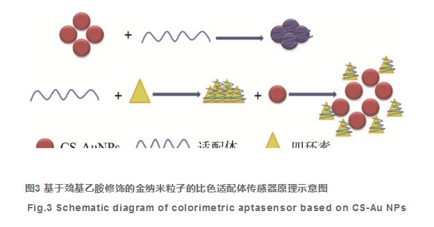 核酸适配体传感器在四环素类抗生素检测中的应用（二）