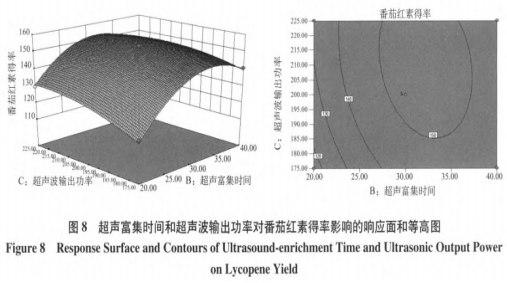 超声波辅助番茄皮渣中番茄红素在核桃油中的富集工艺（三）