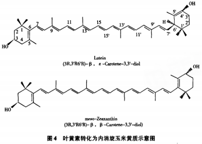 内消旋玉米黄质一种健康功能的重要类胡萝卜素（二）