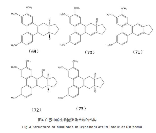 白薇化学成分及药理作用研究进展（二）