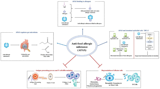 西北大学田阳博士在食品领域顶级期刊《Critical Reviews in Food Science and Nutrition》发表抗食物过敏综述论文