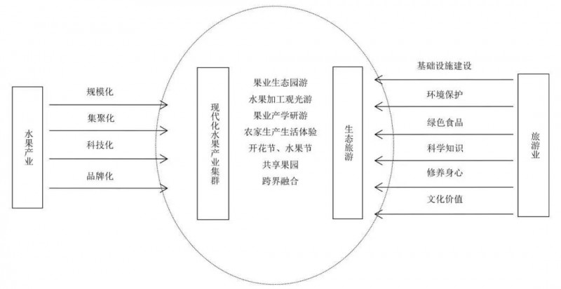 广西热带水果产业与生态旅游业融合发展路径研究