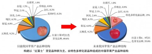 威海金苹果优质高效栽培关键技术