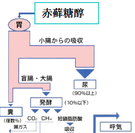 低聚木糖公司告诉你赤藓糖醇的生理特性是什么