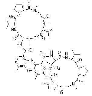 放线菌素D