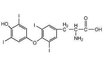 L-甲状腺素