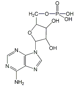 腺苷-5'-单磷酸
