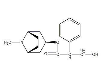 莨菪碱