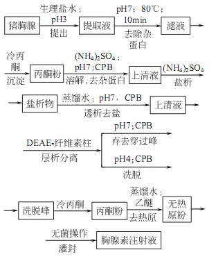 胸腺嘧啶