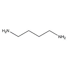 1,4-二氨基丁烷