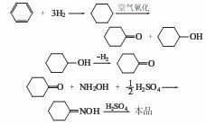 ε-己内酰胺