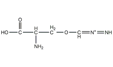 重氮丝氨酸