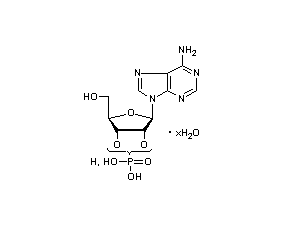 腺苷酸2'(3')-磷酸
