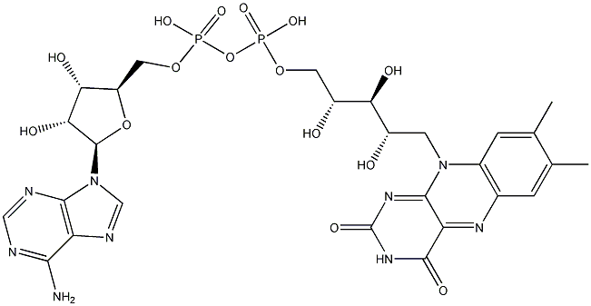 腺嘌呤黄素