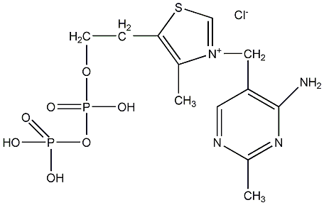 辅羧酶