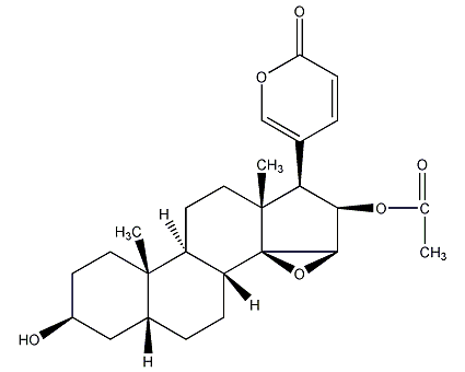 华蟾蜍精