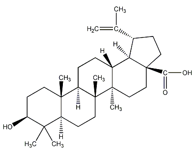 桦木酸