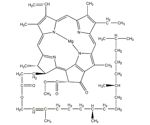 叶绿素 A