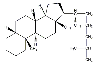 5β-胆甾烷