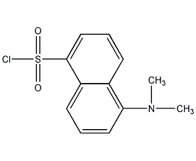 丹磺酰氯