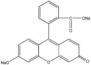 荧光素钠