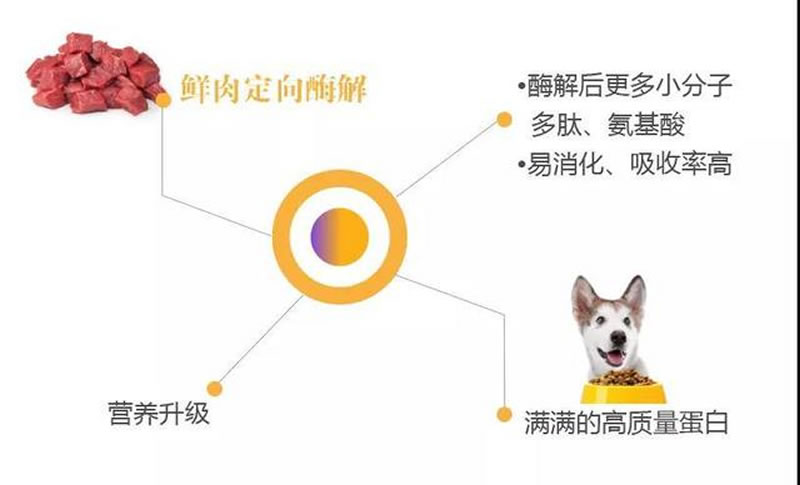 如何利用鲜肉酶解技术水解牛肉生产宠物诱食剂？