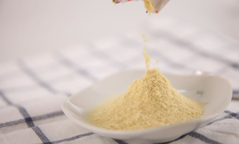 豆浆粉生产豆奶，看我如何选酶制剂？