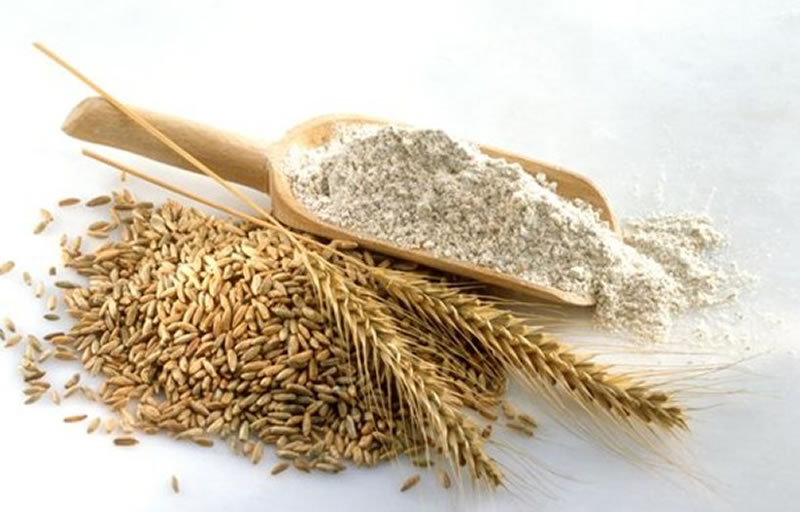 如何利用小麦蛋白酶解制备小麦蛋白多肽？